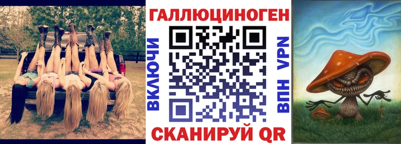 Купить  Большой Камень  Галлюциногенные грибы Psilocybe 