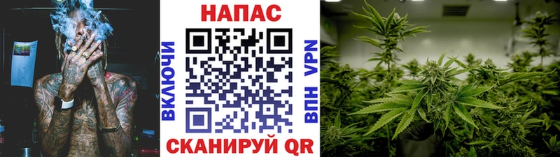 Бошки марихуана AK-47 Купить закладки Большой Камень